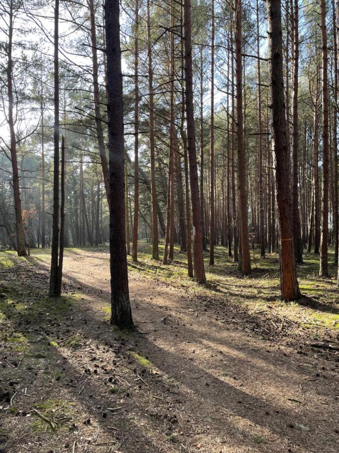 Sunset Resort APARTAMENT DZIESIĄTKA przy plaży Grzybowo  Zewnętrze zdjęcie